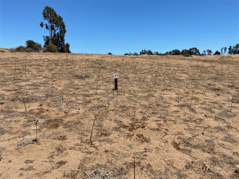 Sitio en Venta en Puchuncaví