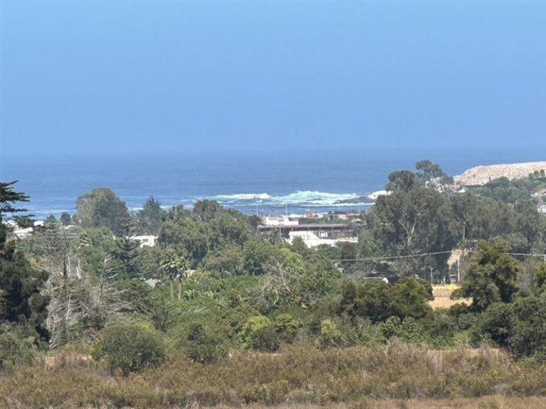 Casa en Venta en Zapallar