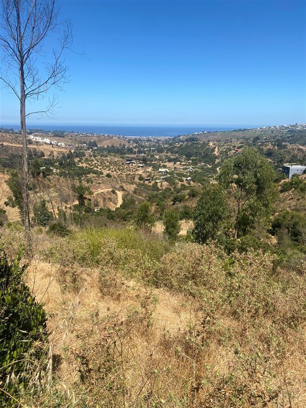 Sitio en Venta en Zapallar
