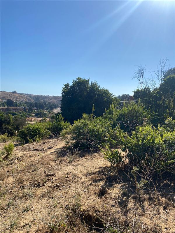 Sitio en Venta en Zapallar
