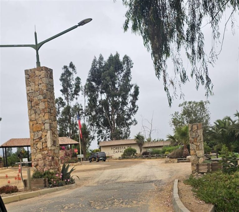 Sitio en Venta en Zapallar